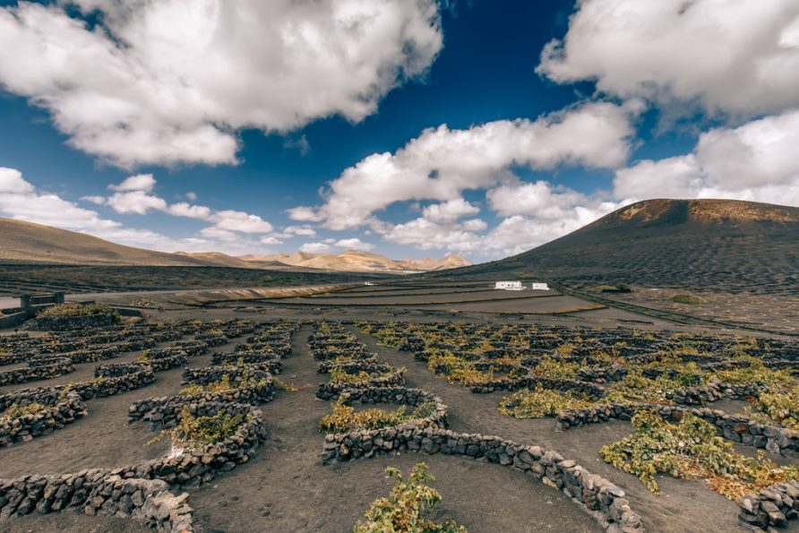 Wine Tour on the Island