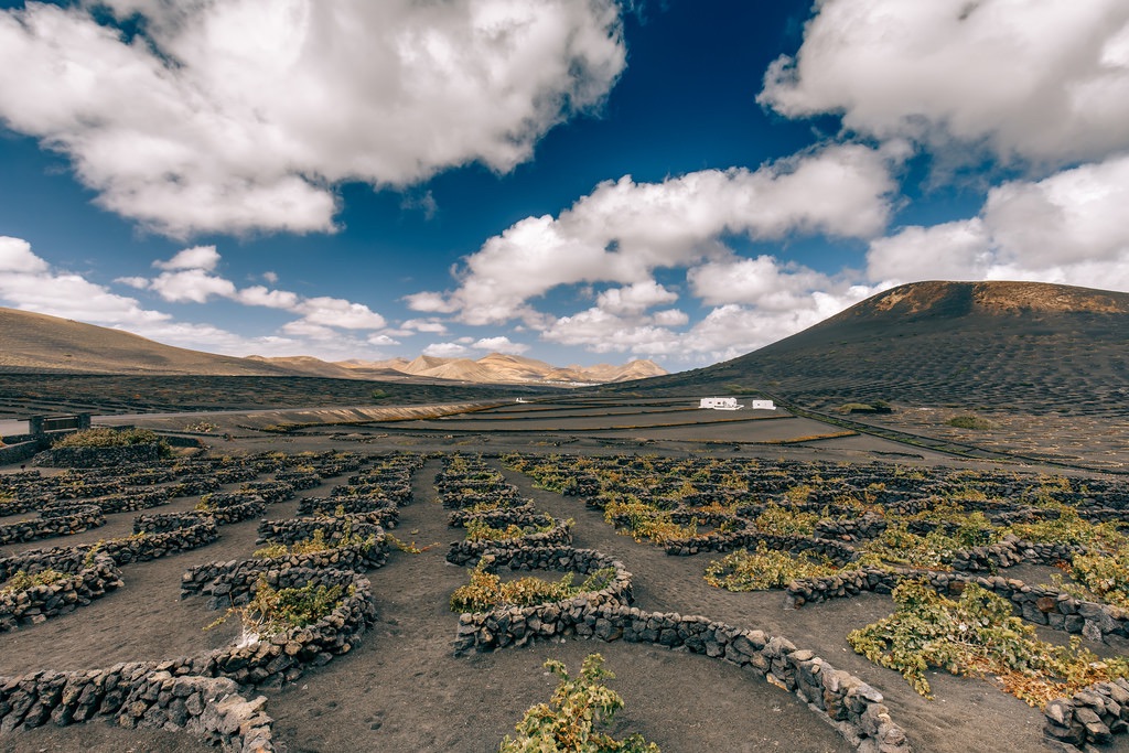 Wine Tour on the Island